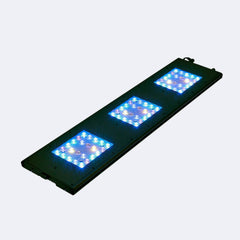 ReefBreeders Meridian 35