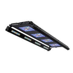 ReefBreeders Meridian 45 Edge Bar Bundle