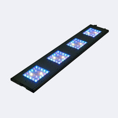 ReefBreeders Meridian 45