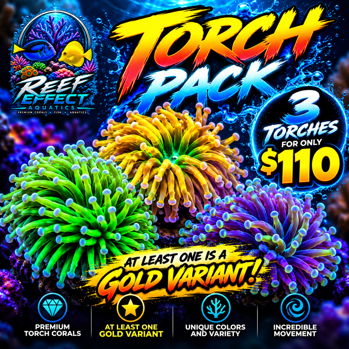 Reef Effect Ultimate Torch Coral 3-Pack – $110