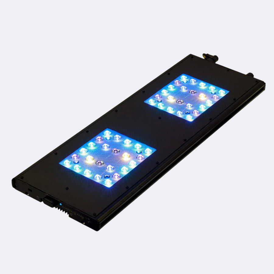 ReefBreeders Meridian 24