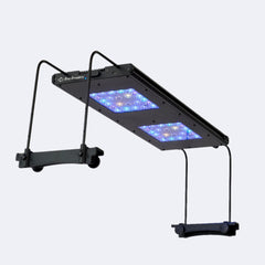 ReefBreeders Meridian 24