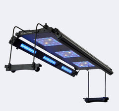 ReefBreeders Meridian 35 Edge Bar Bundle