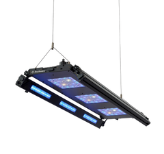 ReefBreeders Meridian 35 Edge Bar Bundle