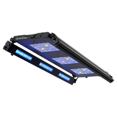 ReefBreeders Meridian 35 Edge Bar Bundle