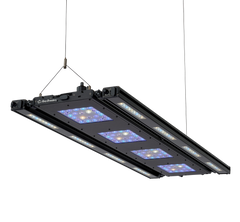 ReefBreeders Meridian 45 Edge Bar Bundle