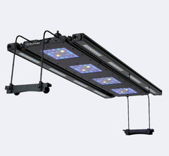 ReefBreeders Meridian 45 Edge Bar Bundle