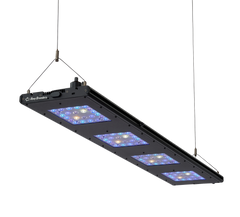ReefBreeders Meridian 45