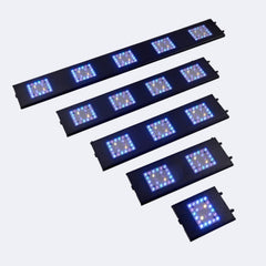 ReefBreeders Meridian 24