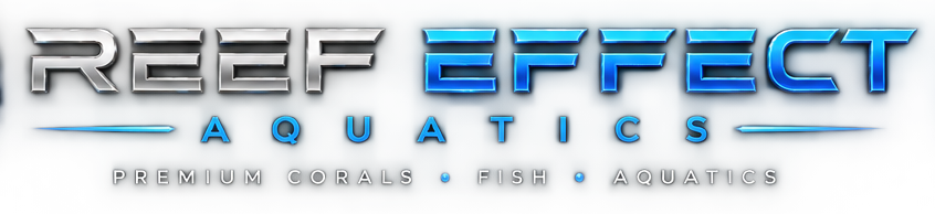 Reef Effect Aquatics